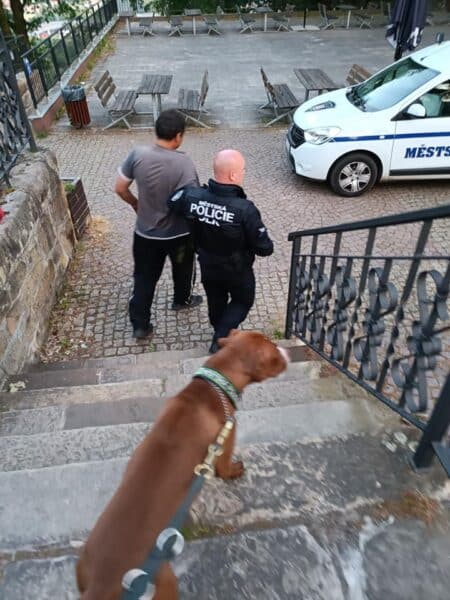 Městská policie Děčín zadržela podezřelého. Foto: MP Děčín