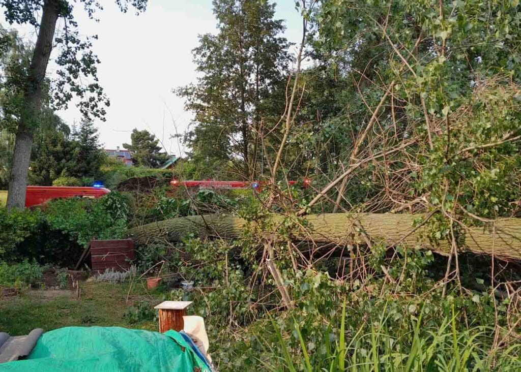 Hasiči museli odstraňovat popadané stromy po bouřce. Foto: HZS