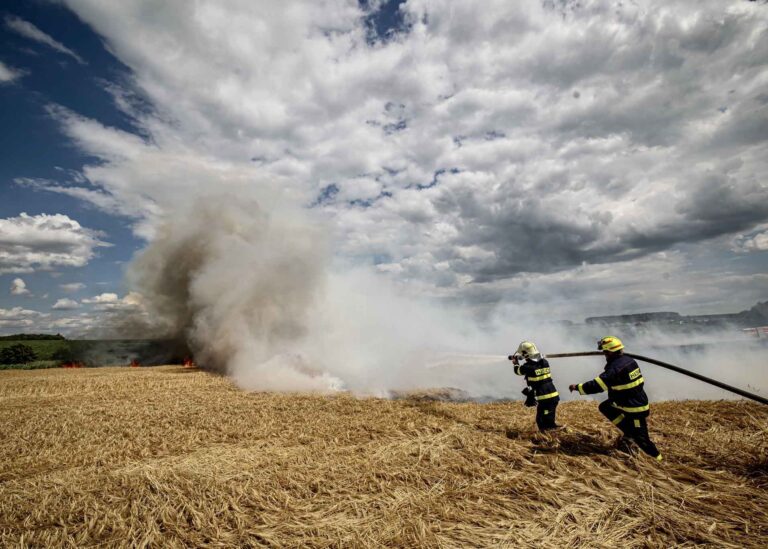 Hasiči bojují hlavně s požáry trávy, polí a lesů. Foto: HZS