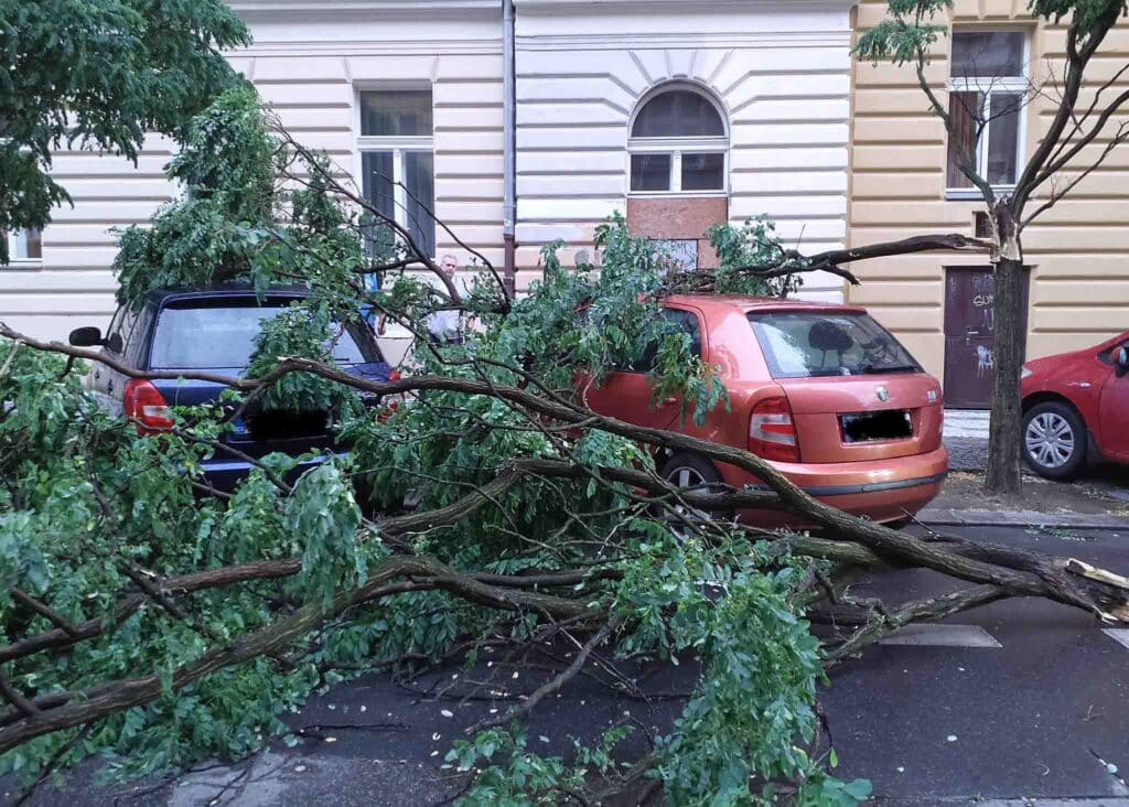Na zaparkovaná auta spadl strom v pražské Řipské ulici. Foto: HZS Praha