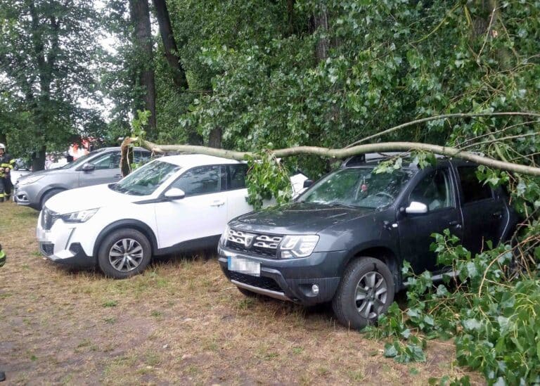 Bouřky kácí stromy na auta i na železnici. Foto: HZS KHK