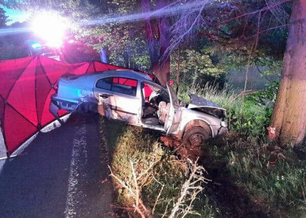 Tragická nehoda u obce Horní Vltavice na Prachaticku. Auto tam vrazilo do stromu, řidič zemřel. Foto: PČR