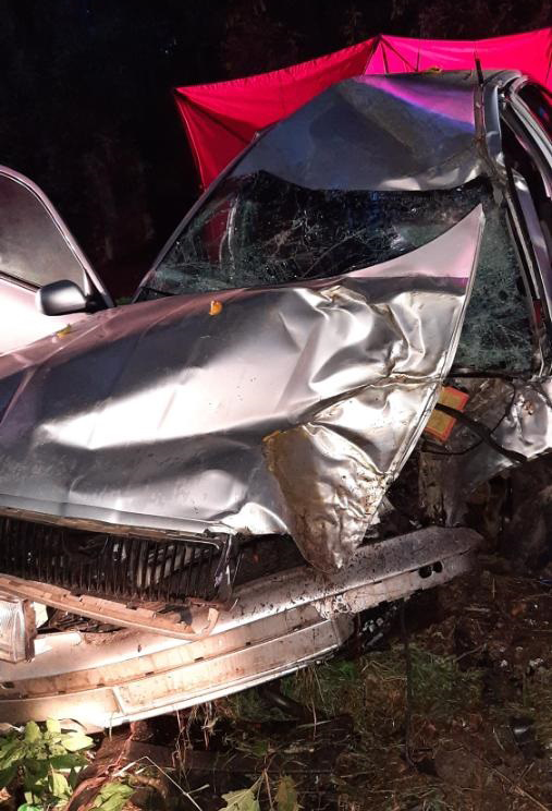 Tragická nehoda u obce Horní Vltavice na Prachaticku. Auto tam vrazilo do stromu, řidič zemřel. Foto: PČR
