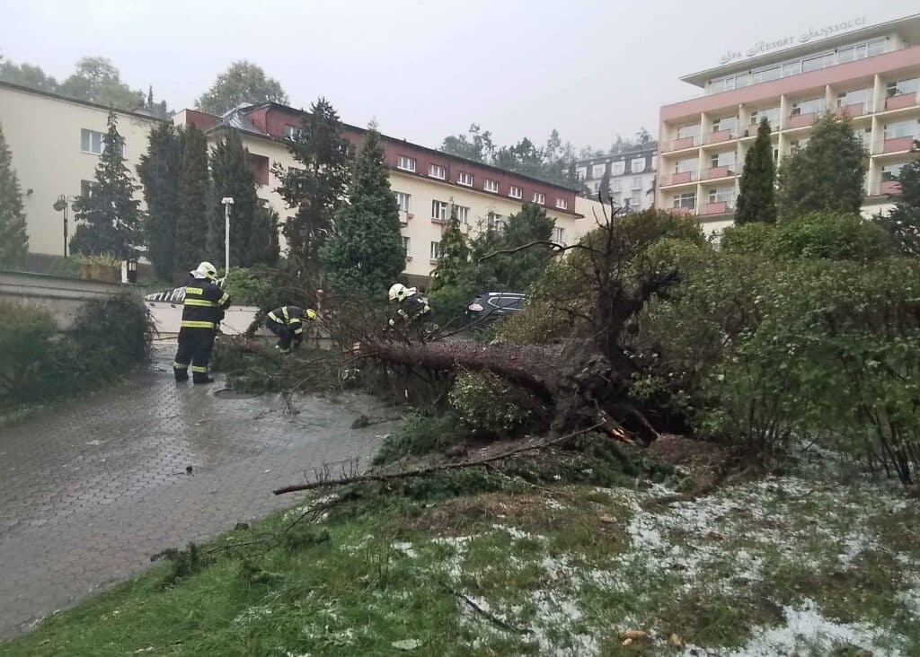 Bouřka v Karlových Varech vyvracela stromy. Foto: HZS KVK