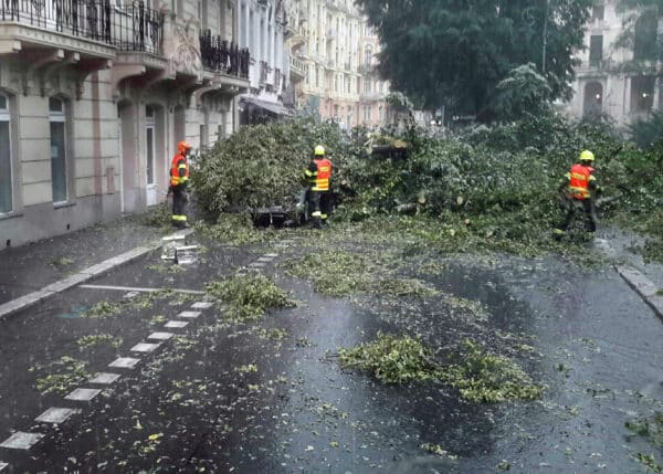 Bouřka v Karlových Varech vyvracela stromy. Foto: HZS KVK