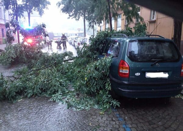 Bouřky v Praze lámaly větve. Foto: HZS