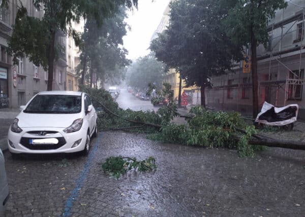 Bouřky v Praze lámaly větve. Foto: HZS