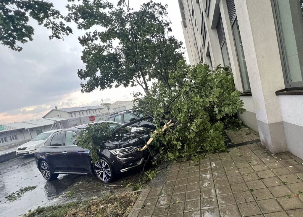 Bouřky v Praze lámaly větve. Foto: HZS