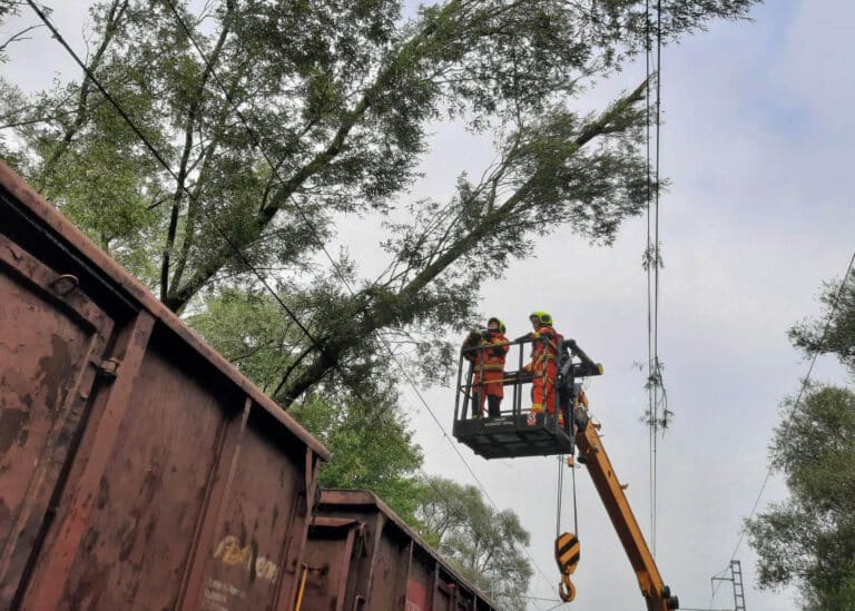 Hlavně popadané stromy do dráhy nebo na trakční vedení museli řešit drážní hasiči a železničáři. Foto: SŽ