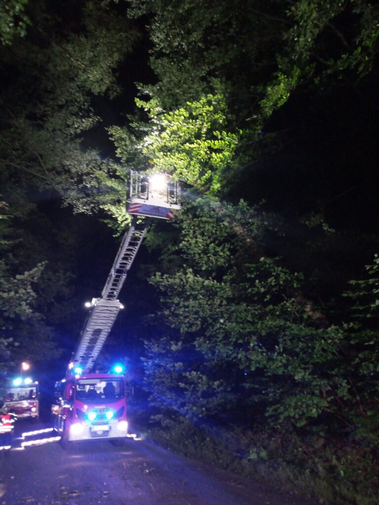 Ve Strukově nad Bělou museli hasiči odstranit strom z elektrického vedení. Foto: HZS