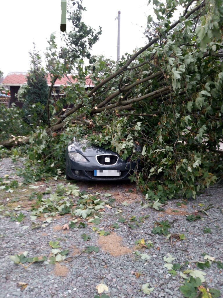 Bouřky vyvracely stromy na Trutnovsku. Foto: HZS