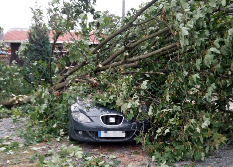 Bouřky vyvracely stromy na Trutnovsku. Foto: HZS