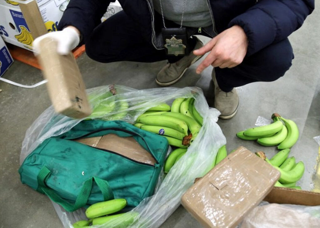 Drogy nalezené v zásilce banánů. Ilustrační foto
