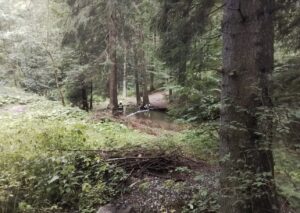 Hasiči do potoka instalovali norné stěny proti šíření vytékající nafty. Foto: HZS