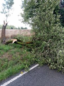 Vzdušný vír v Lokotu u Rychnova nad Kněžnou ničil střechy, značky i stromy. Foto: HZS KHK