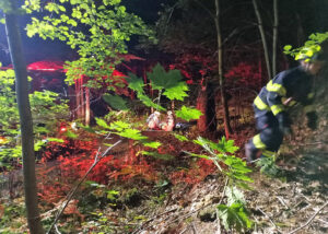 Mezinárodní cvičení záchranářů a složek IZS Recue Patrol Foto: David Krůta