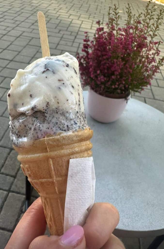 Agáta Hanychová si po běhání dala zmrzlinu. Zdroj: Instagram