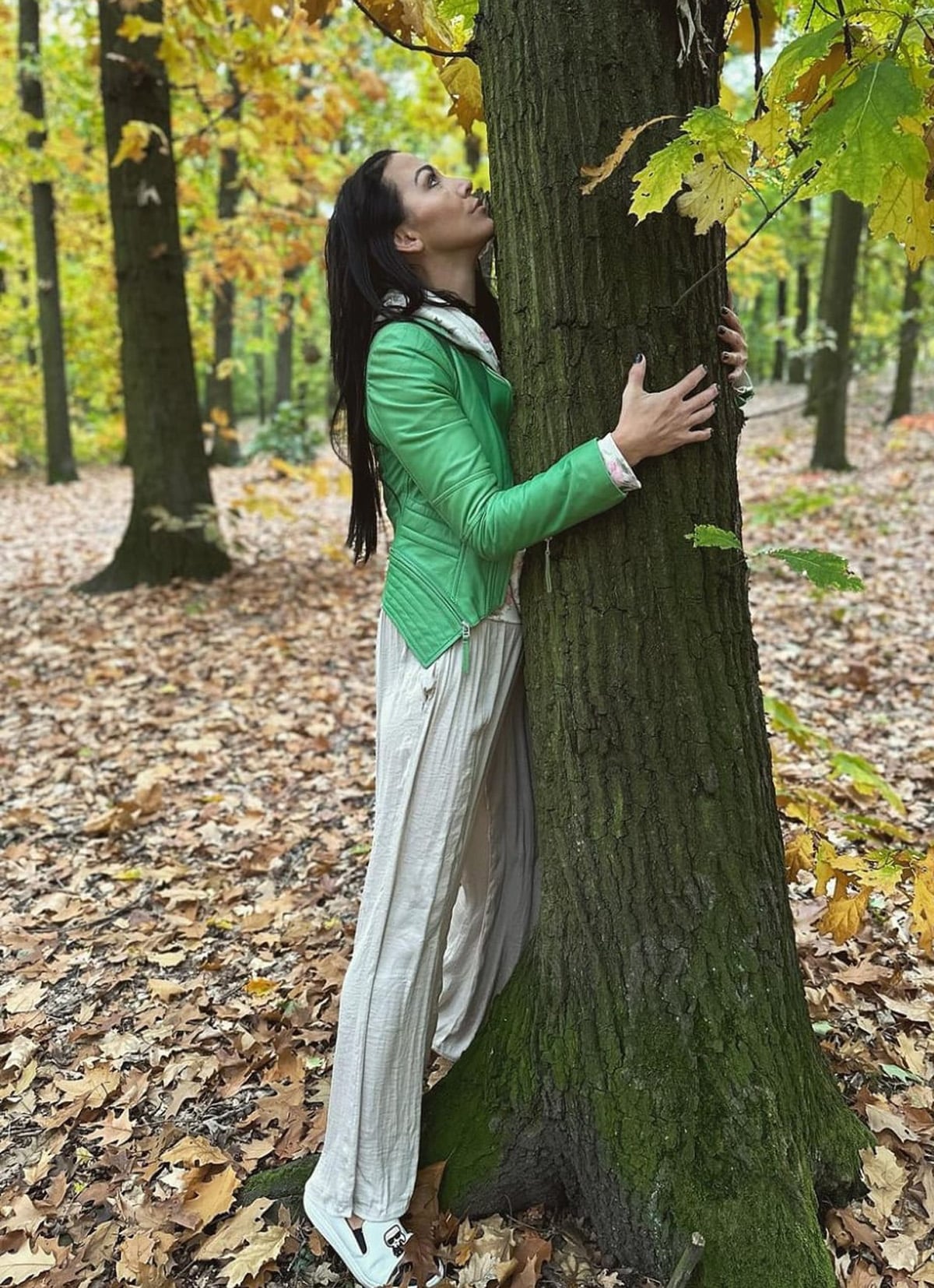 hanychová nepořádek 13