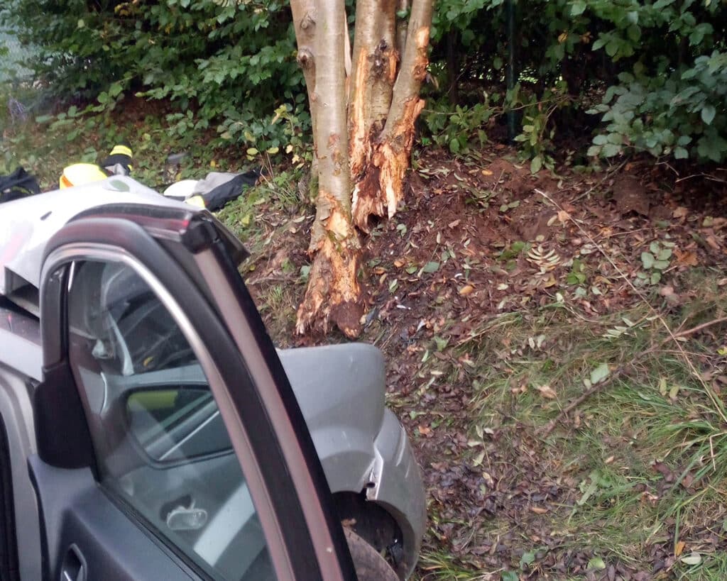 U Dolní Radechové narazil řidič do stromu, nehodu nepřežil. Foto: HZS