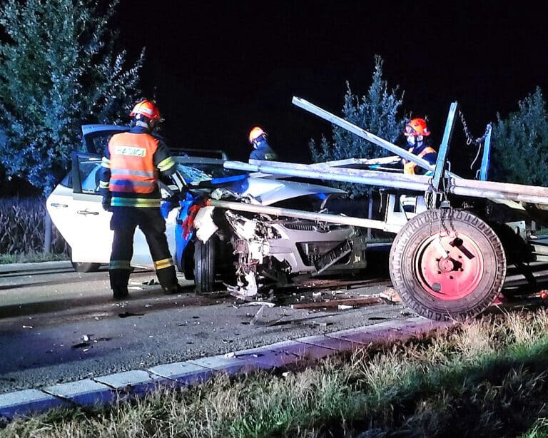 Nehoda koňského povozu a auta u Kostice na Břeclavsku. Foto: HZS