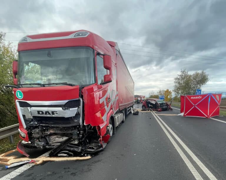 Tragická nehoda auta a kamionu u Třebíze. Foto: HZS