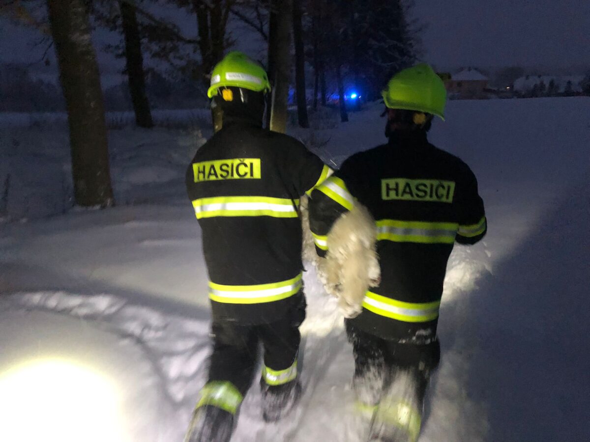 Hasiči na Táborsku zachránili psa ze závějí sněhu. Foto: HZS