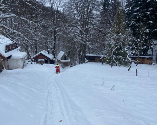 Pacienta museli záchranáři přepravit na sáňkách z prudkého kopce. Foto: ZZS