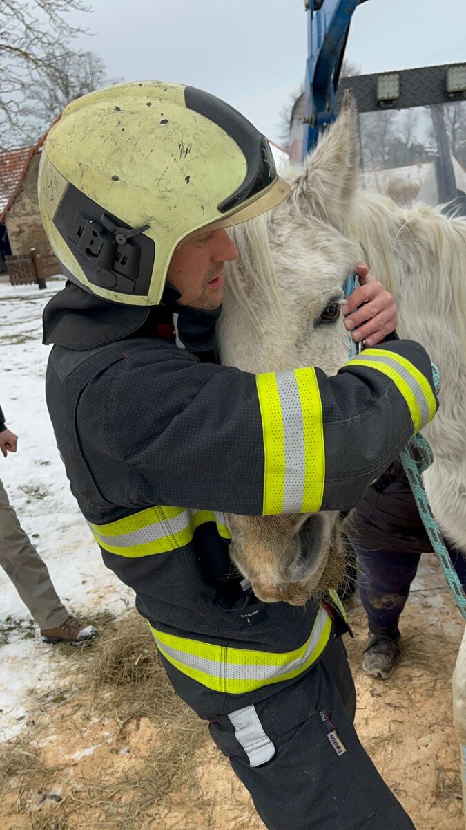Jihočeští hasiči v Nové Vsi zachránili koně, který ležel na zemi. Foto: HZS
