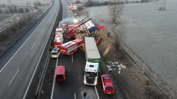 Nehoda kamionu převážejícího krávy na dálnici D8. Foto: HZS