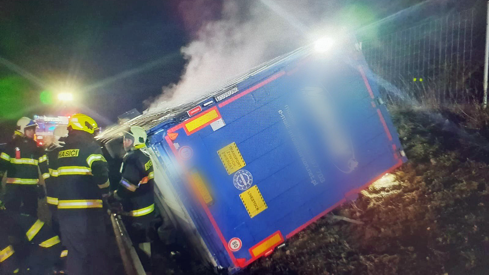 Nehoda kamionu převážejícího krávy na dálnici D8. Zdroj. PČR