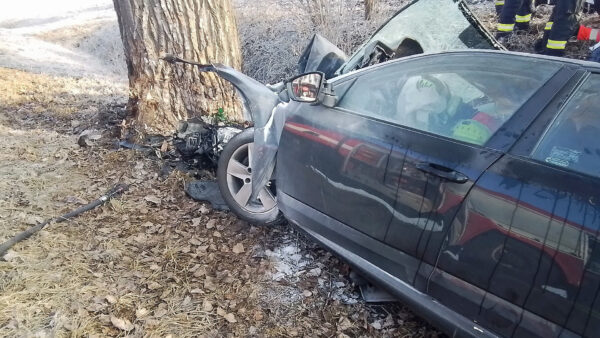 Tragická nehoda u Topolan. Auto narazilo do stromu, řidič zemřel. Foto: HZS