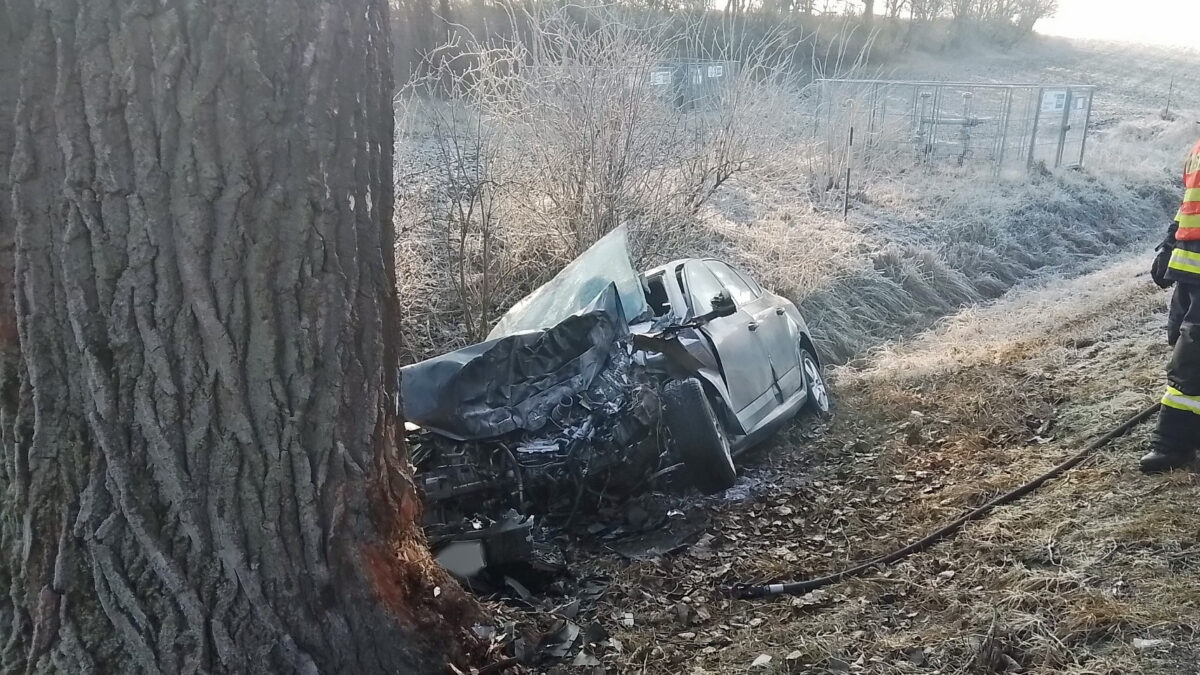 Tragická nehoda u Topolan. Auto narazilo do stromu, řidič zemřel. Foto: HZS