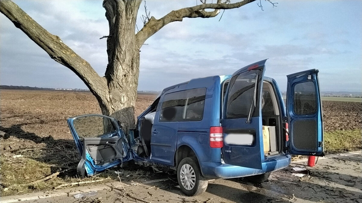 Tragická nehoda u Olšan. Foto: HZS