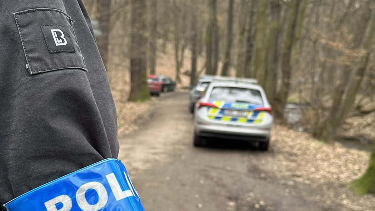 Policie hledá důkazy v Kunratickém lese. Foto: PČR