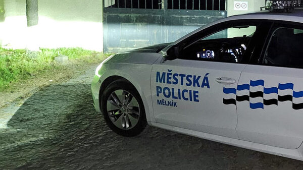 Městská policie Mělník zajišťuje ztlumení hudby na technoparty, která se koná u hřbitova. Foto: město