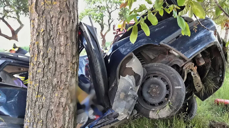 Tragická nehoda u Chříče. Volvo narazilo do stromu. Foto: HZS