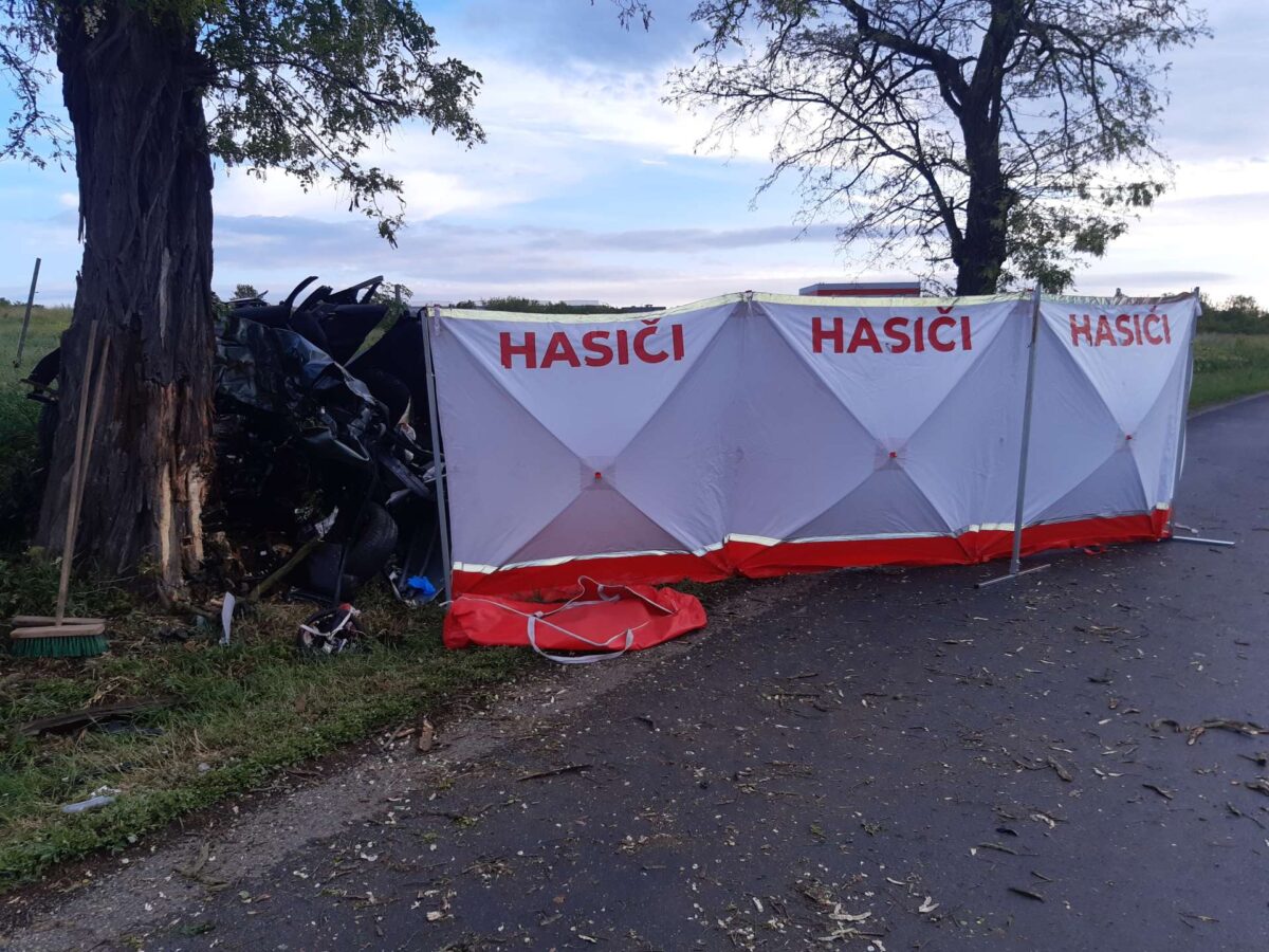 Tragická nehoda u obce Staňkovice na Žatecku. Foto: HZS