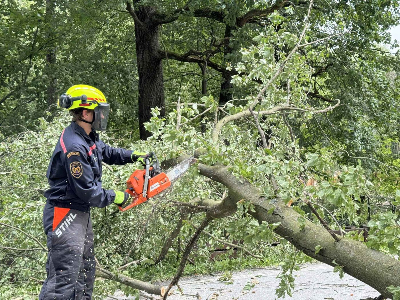 Hasiči na Moravě odstraňují popadané stromy v neděli 30. června. Foto: HZS MSK