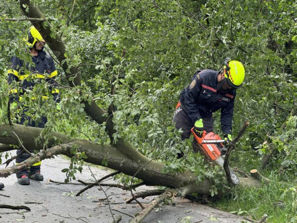 Hasiči na Moravě odstraňují popadané stromy v neděli 30. června. Foto: HZS MSK