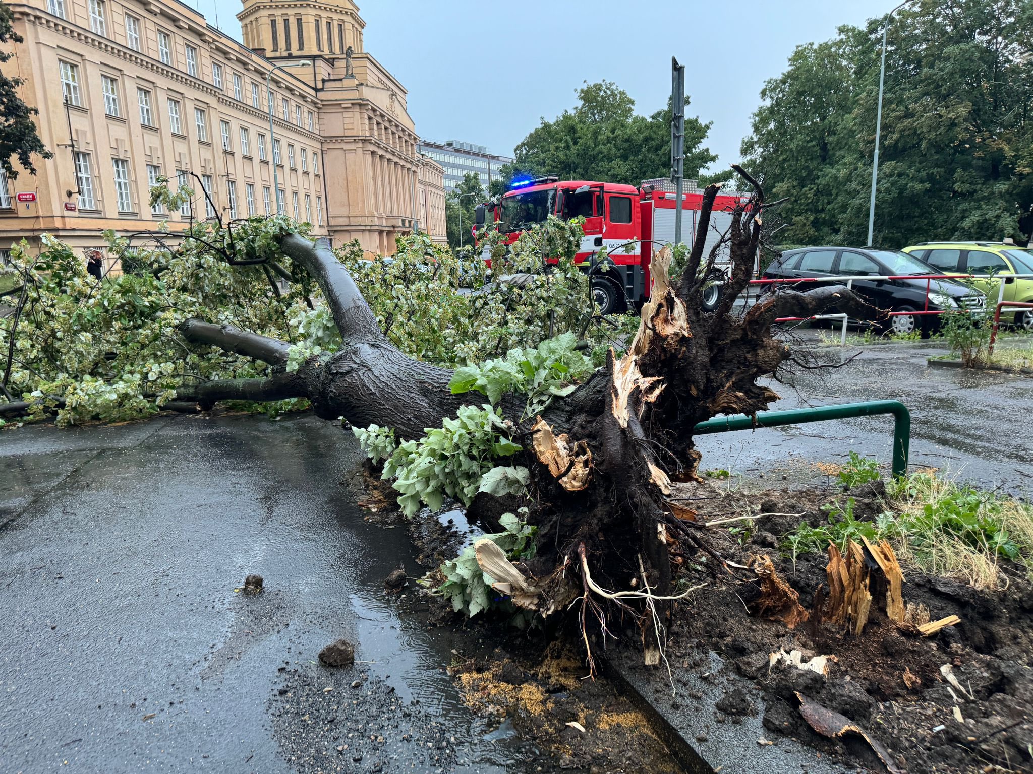 Vyvrácené stromy po bouřce v Praze. Foto: HZS