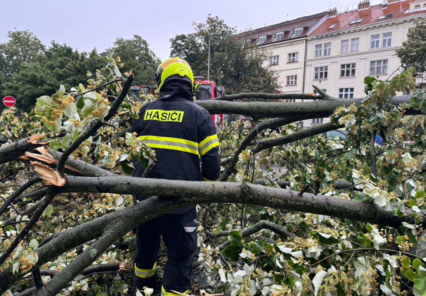 Vyvrácené stromy po bouřce v Praze. Foto: HZS