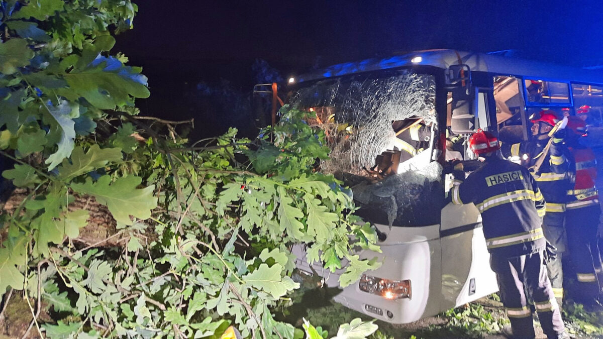 Nehoda u Omic u Brna. Na autobus se zřítil strom. Foto: HZS