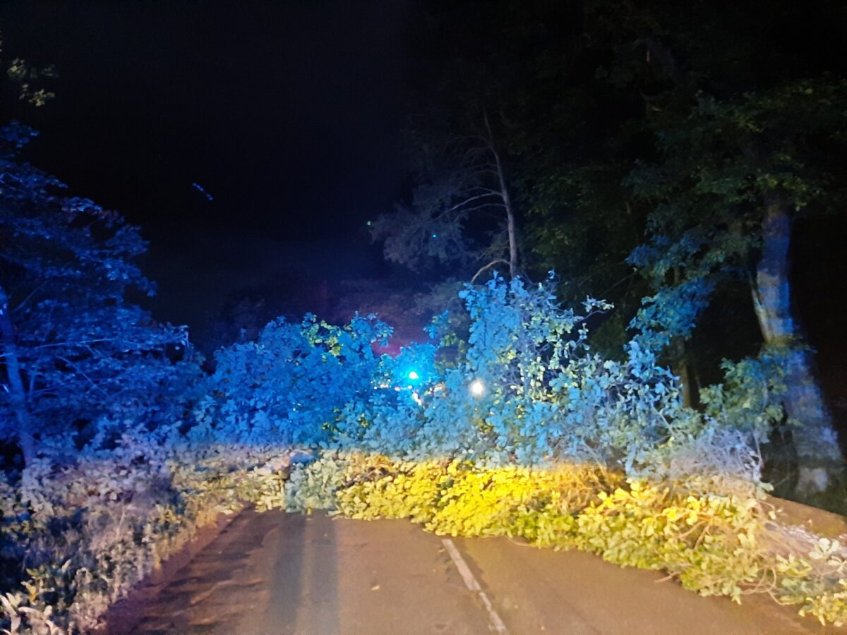 Nehoda u Omic u Brna. Na autobus se zřítil strom. Foto: HZS