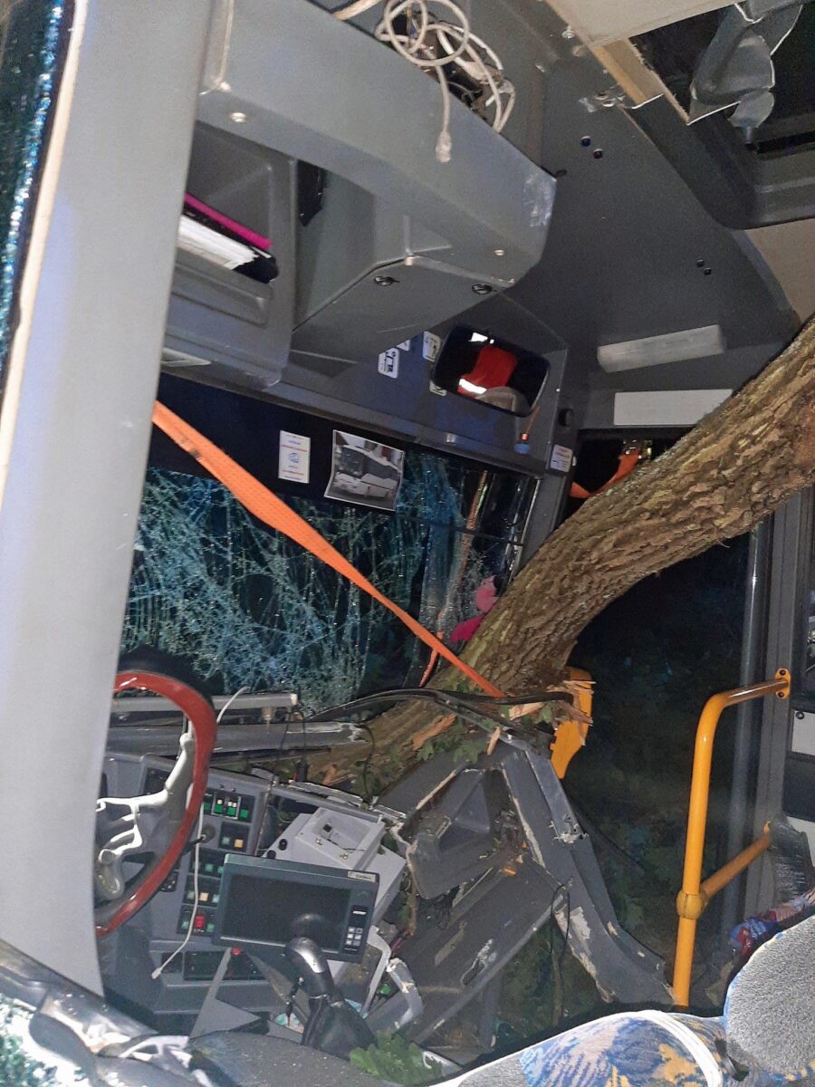 Nehoda u Omic u Brna. Na autobus se zřítil strom. Foto: HZS