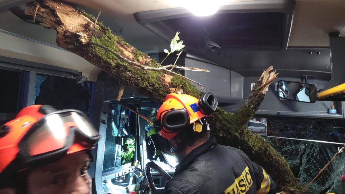 Nehoda u Omic u Brna. Na autobus se zřítil strom. Foto: HZS