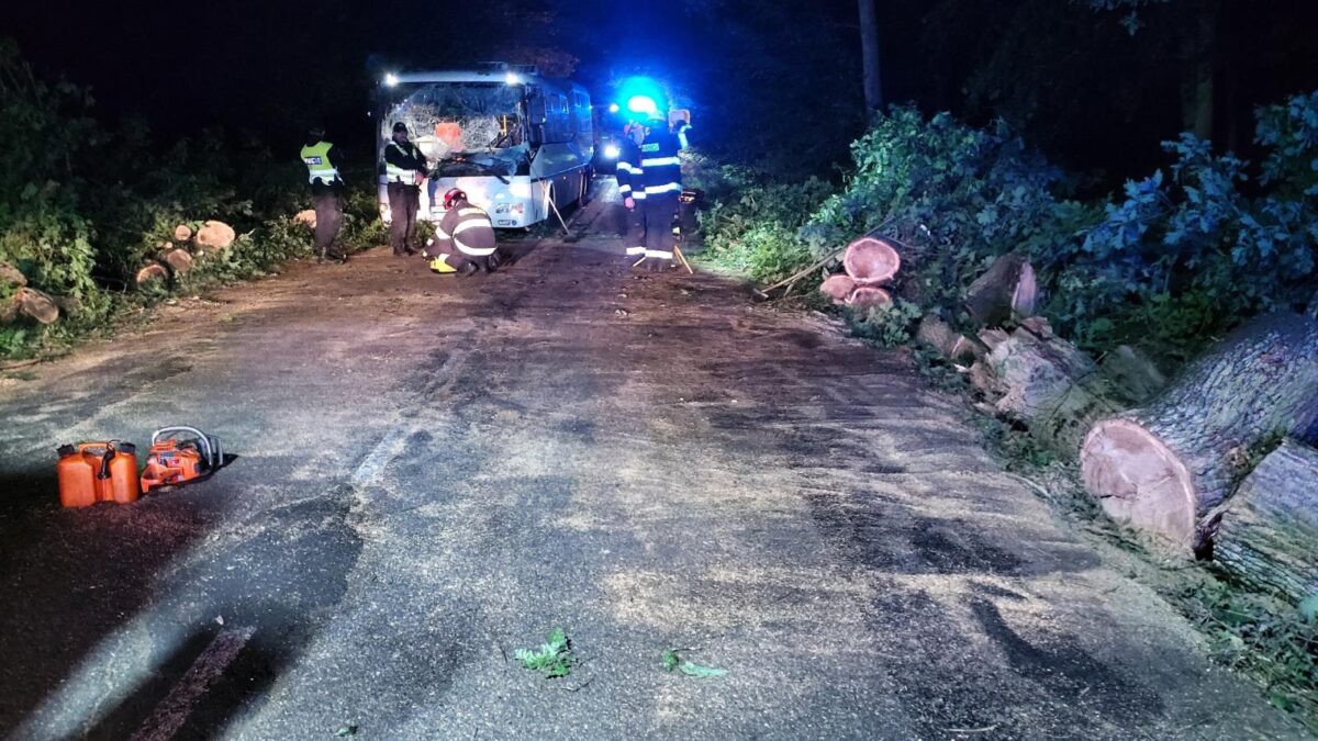 Nehoda u Omic u Brna. Na autobus se zřítil strom. Foto: HZS