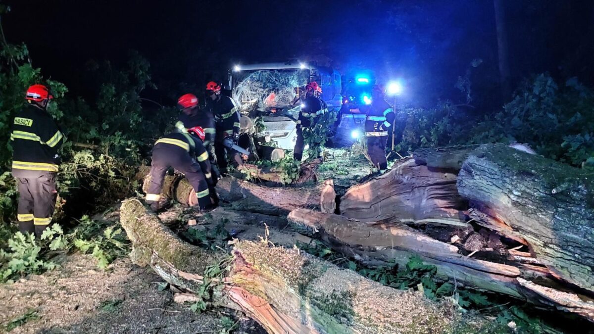 Nehoda u Omic u Brna. Na autobus se zřítil strom. Foto: HZS