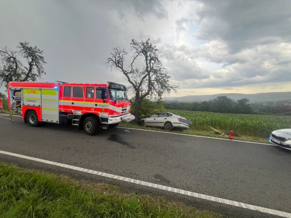 Auto na Příbramsku narazilo do stromu, zranili se tři lidé. Foto: Trans Hospital Plus