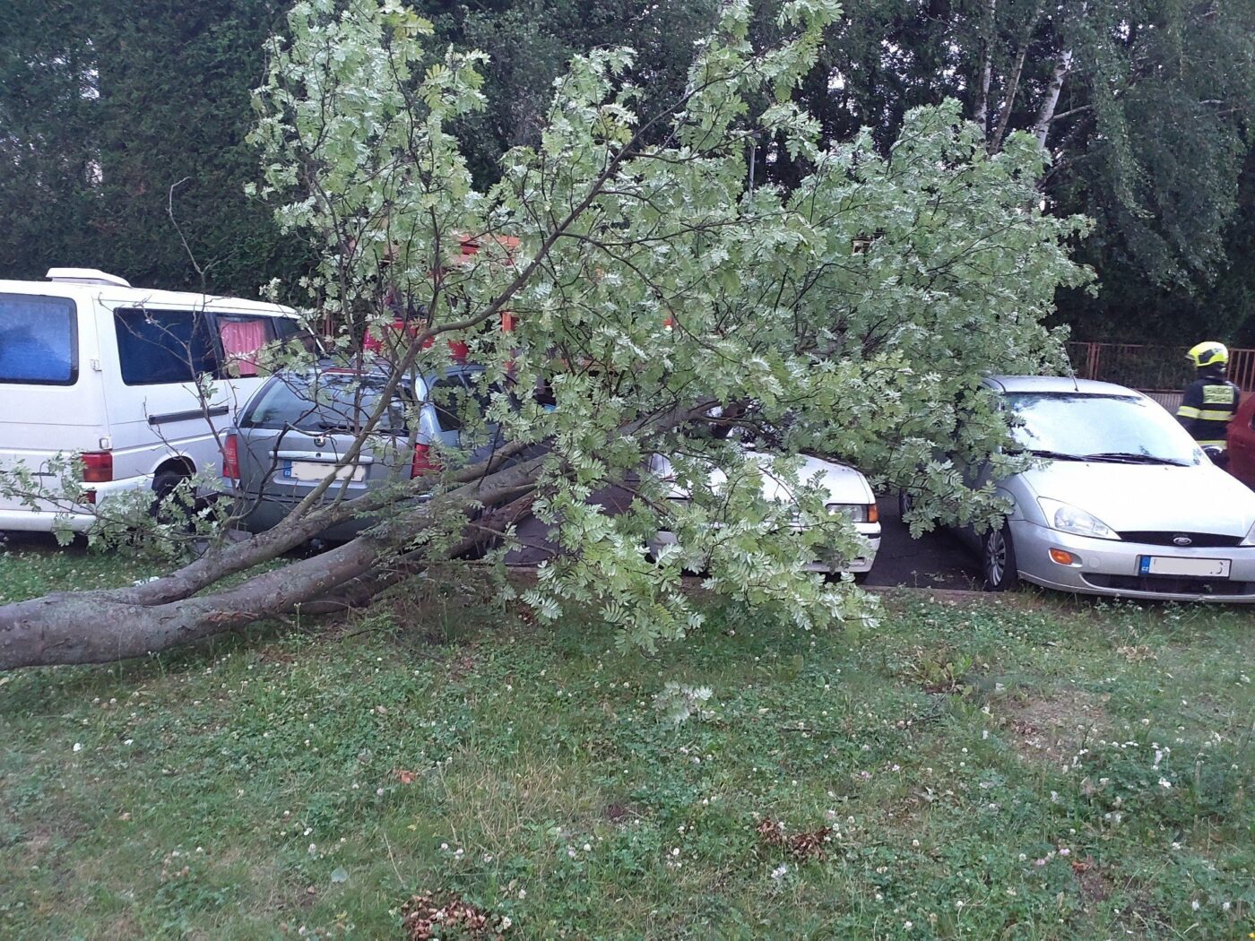 V Praze spadl strom na zaparkovaná auta. Foto: HZS