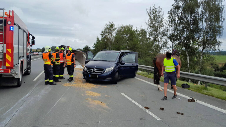 Na dálnici D1 havaroval přívěs s koňmi. Foto: HZS